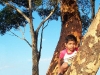Climbing tree1.jpg